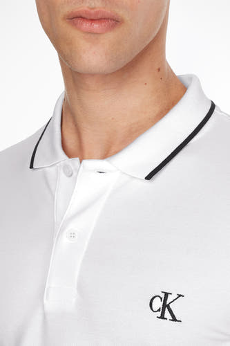 Polo's Wit - Calvin Klein