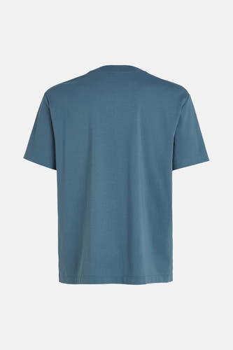 T-shirt (korte mouwen) Blauw - Calvin Klein