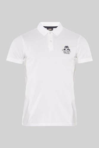 Polo's Wit - Petrol Industries®