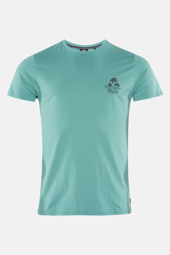 T-shirt (korte mouwen) Groen - Petrol Industries®