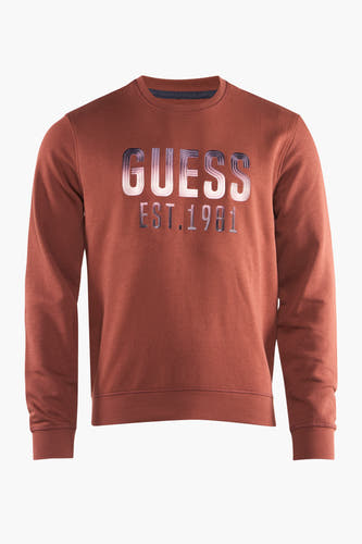 Sweater met ronde hals Bruin - Guess®