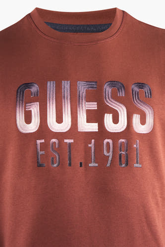 Sweater met ronde hals Bruin - Guess®