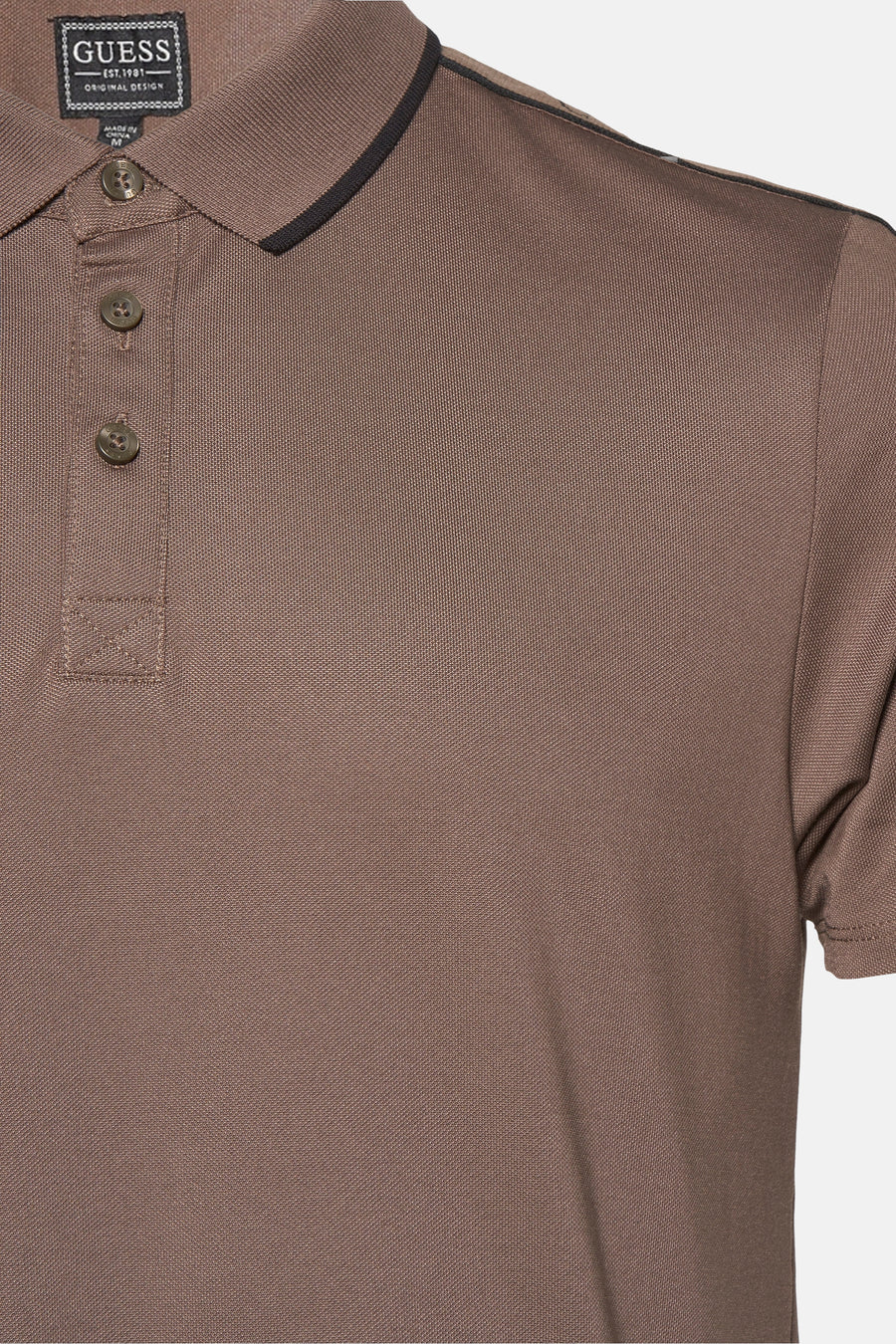 Polo's Bruin - Guess®